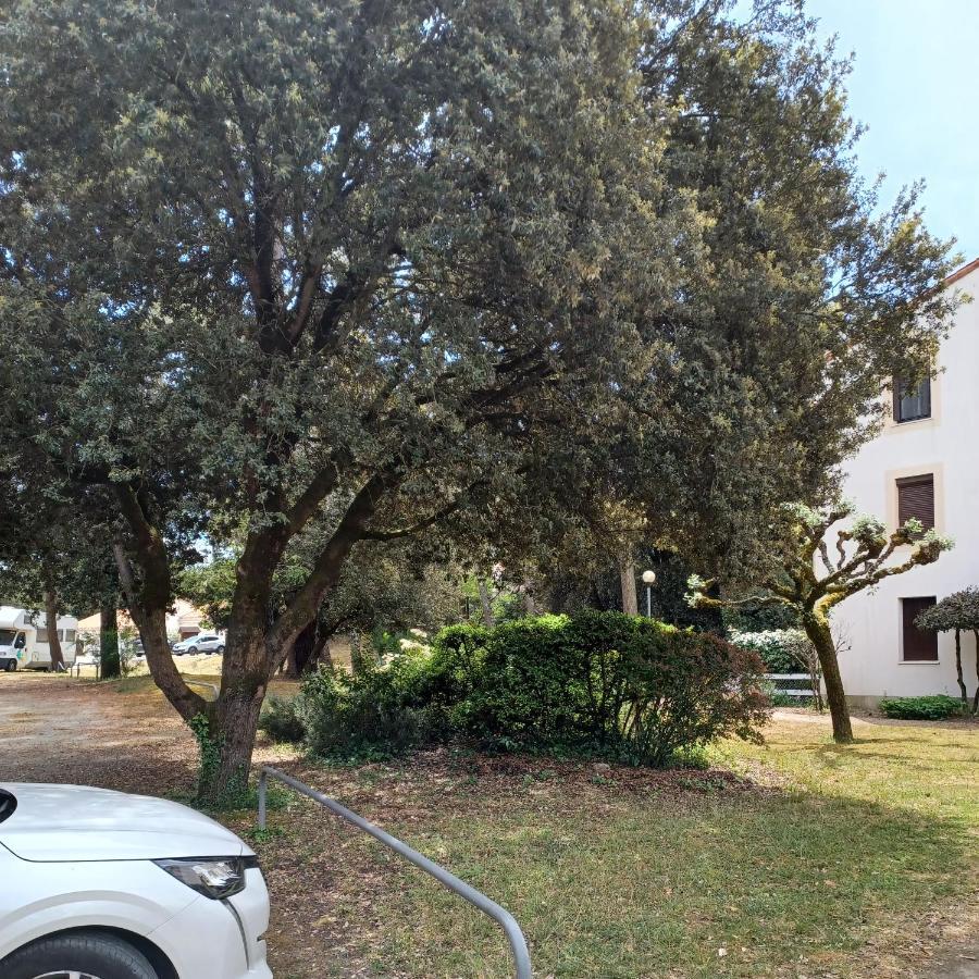 Apartment Agreable Rez De Jardin Avec Terrasse Proche *