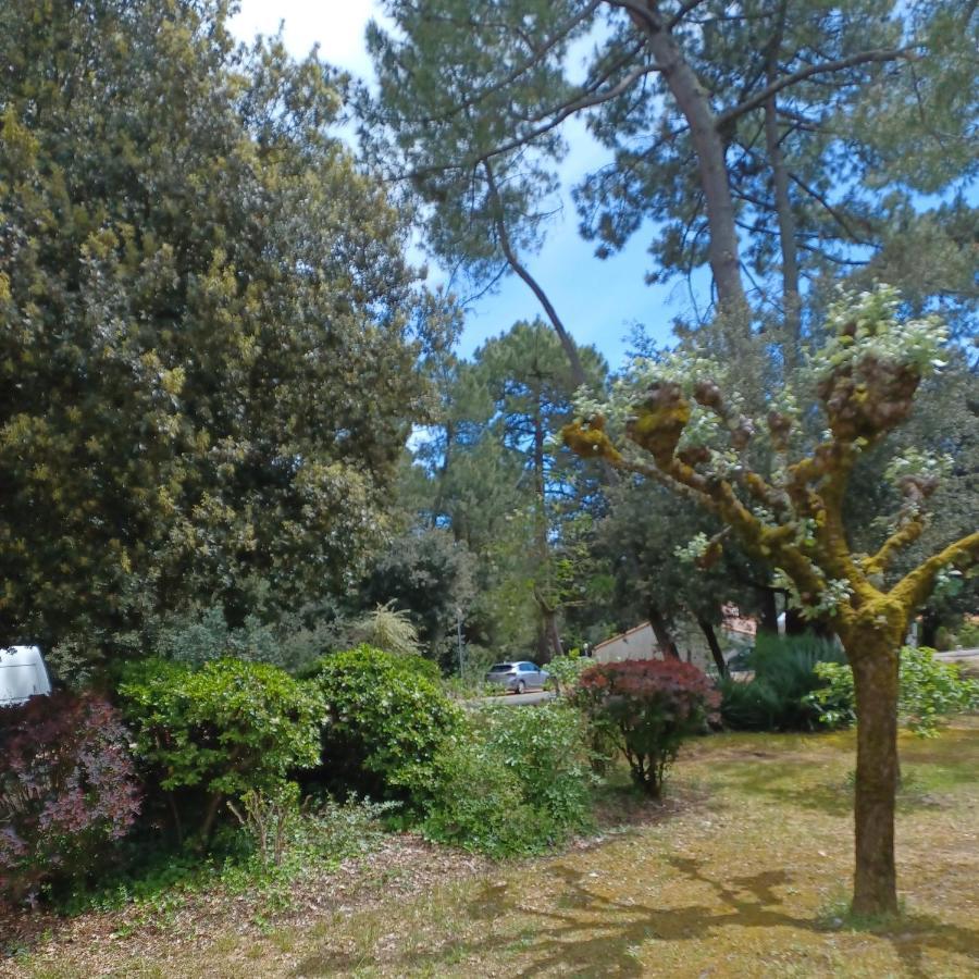 Agreable Rez De Jardin Avec Terrasse Proche Apartamento